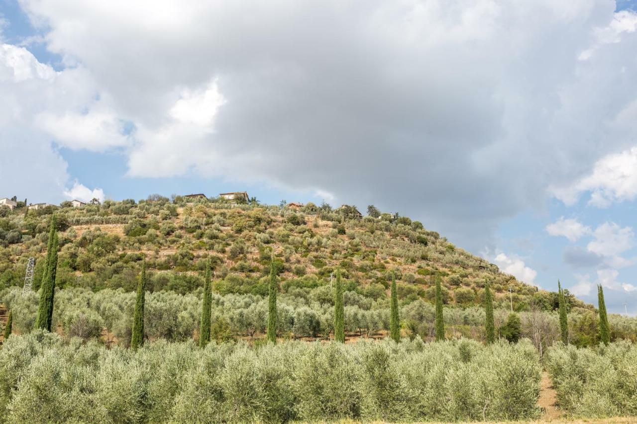 Little Val D'Orcia Apartment Montenero d'Orcia ภายนอก รูปภาพ