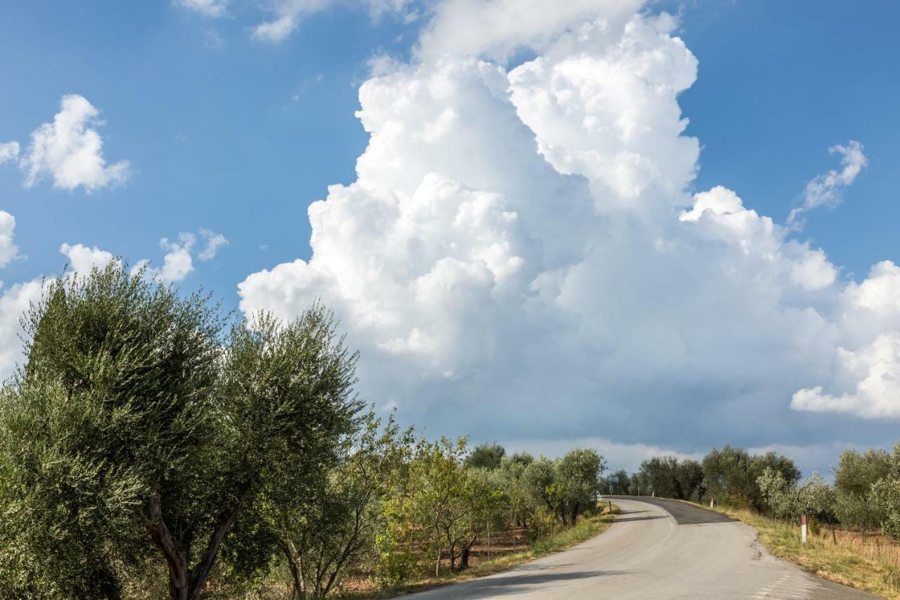 Little Val D'Orcia Apartment Montenero d'Orcia ภายนอก รูปภาพ